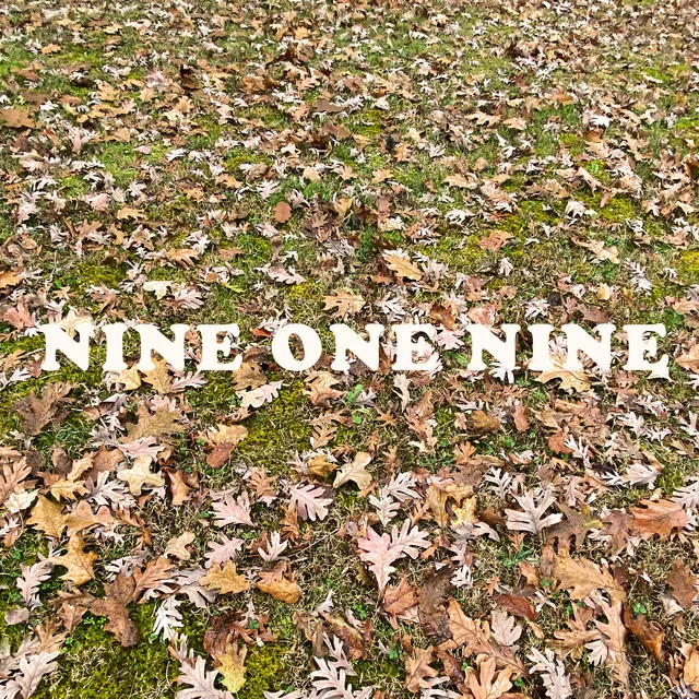 Nine One Nine