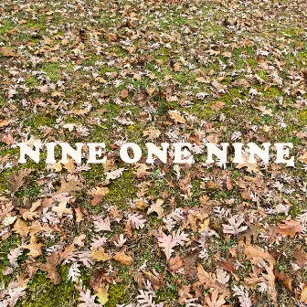 Nine One Nine by SeeNick