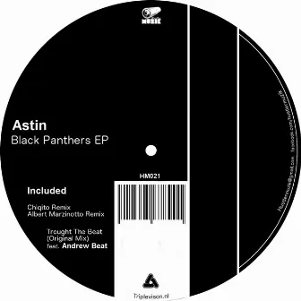 Black Panthers EP by Andrew Beat