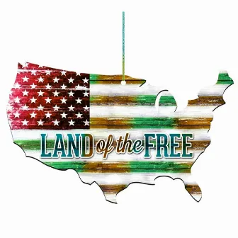 Land Of The Free by Bryan Jenkins