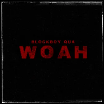 Woah by Blockboy Qua