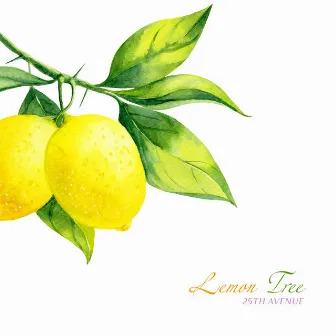 Lemon Tree by 25th Avenue