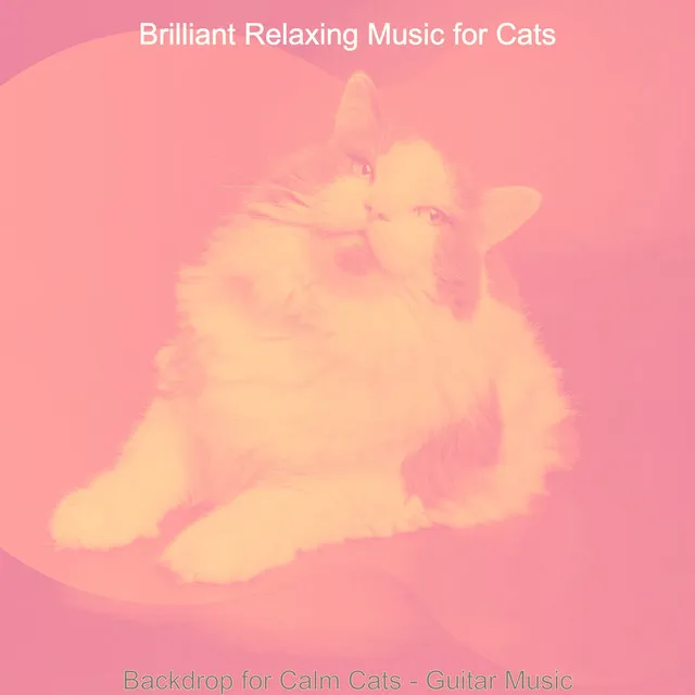 Brilliant Relaxing Music for Cats