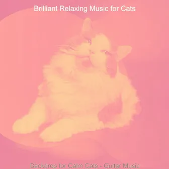 Backdrop for Calm Cats - Guitar Music by Brilliant Relaxing Music for Cats