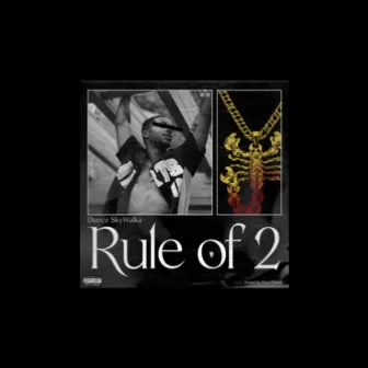 Rule of 2 by DvZ