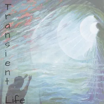 Transient Life by Ila Cantor