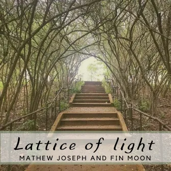 Lattice of Light by Mathew Joseph