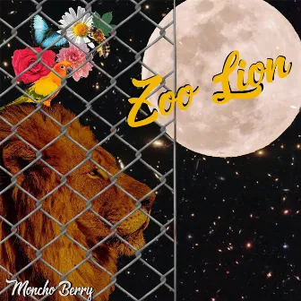 Zoo Lion by Moncho Berry