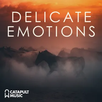 Delicate Emotions by Beth Perry