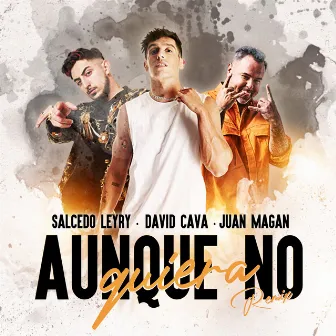 Aunque No Quiera (Remix) by Salcedo Leyry