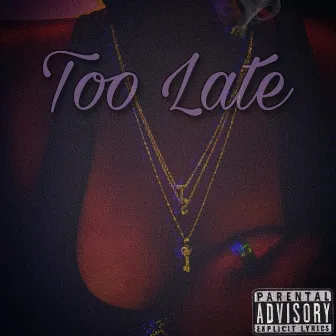 Too Late by Tavia Secret