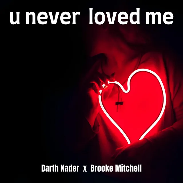 u never loved me