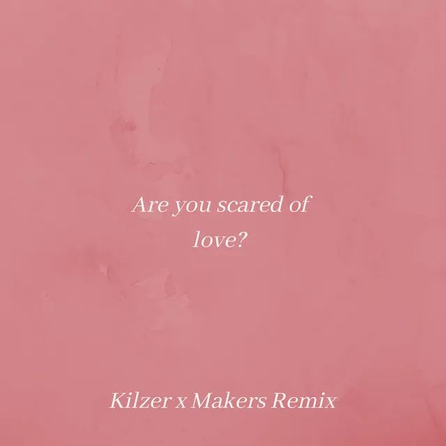 Are You Scared of Love (Kilzer & Makers Remix)