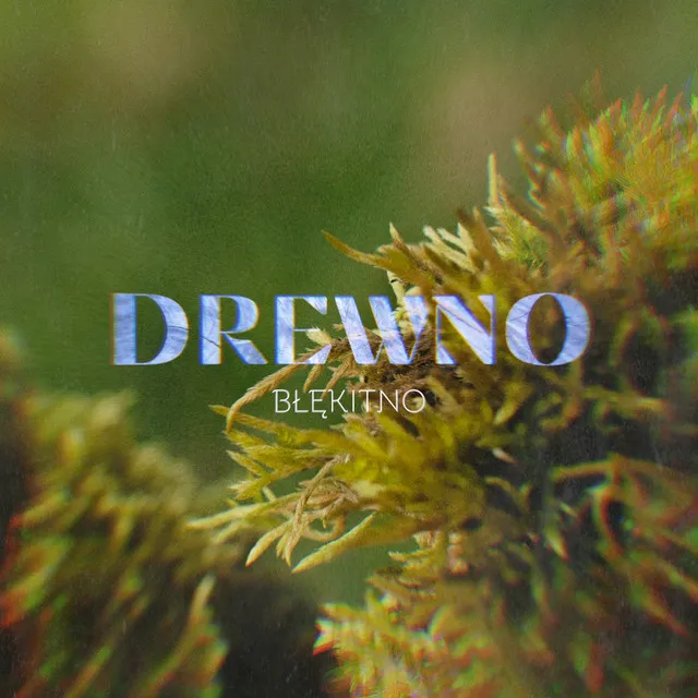 Drewno