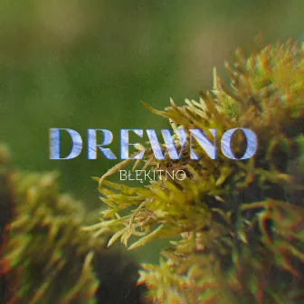 Drewno by Błękitno