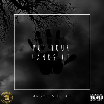 Put Your Hands Up by Anson