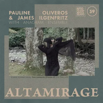 Altamirage by James Ilgenfritz