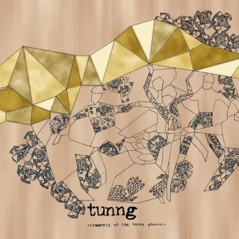 Comments of the Inner Chorus by Tunng