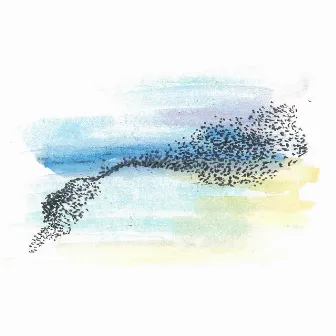 Murmurations by Ella Clayton