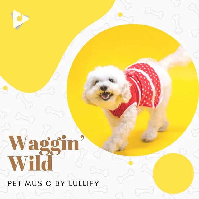 Calming Dog Music