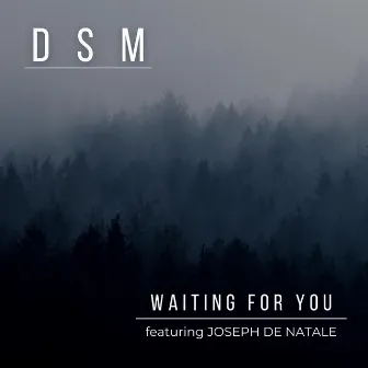 Waiting for You by DSM