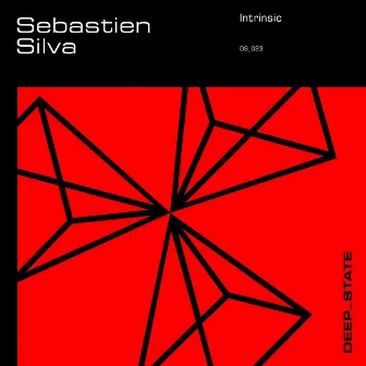 Intrinsic (Radio Edit) by Sebastien Silva