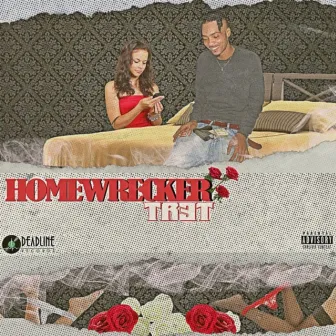 Homewrecker by Tr3t