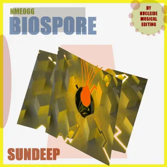 Sundeep by Unknown Artist