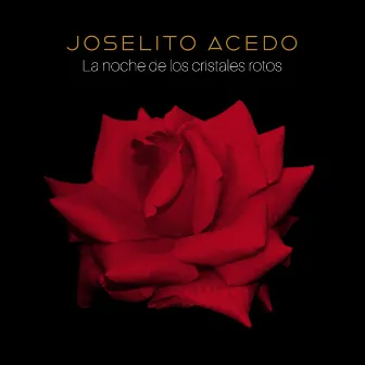 La Noche de los Cristales Rotos by Joselito Acedo