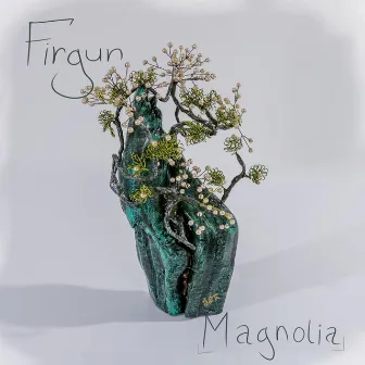 Magnolia by Firgun