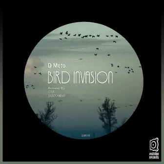 Bird Invasion by D METO