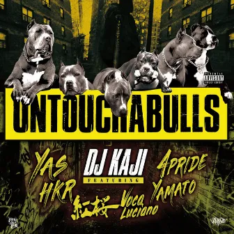 UNTOUCHABULLS by Unknown Artist