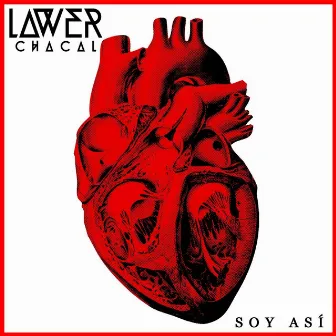 Soy Así by LAWER