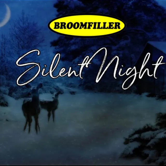 Silent Night - Christmas Cover 2020