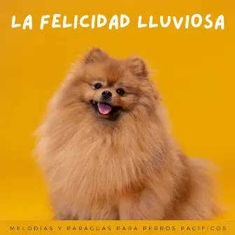 La Felicidad Lluviosa: Melodías Y Paraguas Para Perros Pacíficos by 