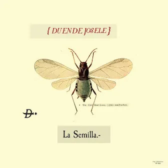 La Semilla by Duende Josele