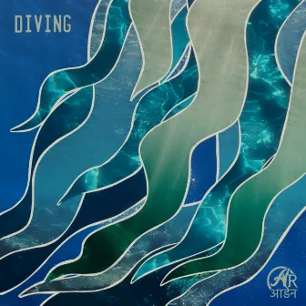 diving by Arden Records