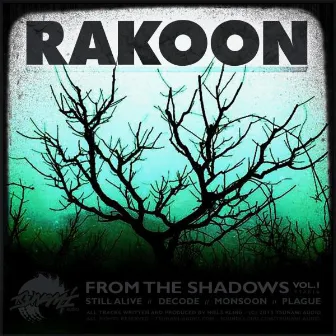 From The Shadows, Vol. 1 by Rakoon