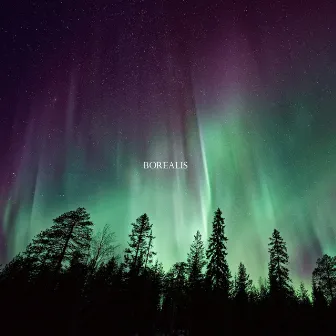 Borealis by Midtro