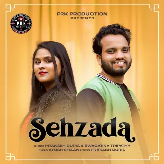 Sehzada by Swagatika Tripathy