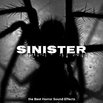 Sinister - Happy Halloween Music with the Best Horror Sound Effects by Musica Tecno Dj Hallowen