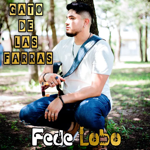 Gato de las Farras