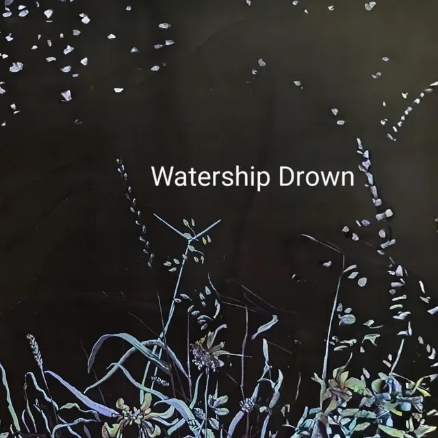 Watership Drown