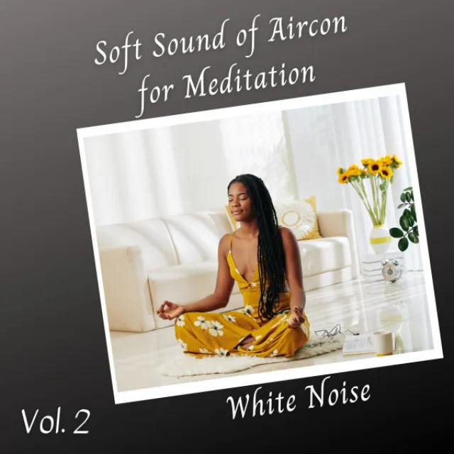 White Noise: Soft Sound of Aircon for Meditation Vol. 2