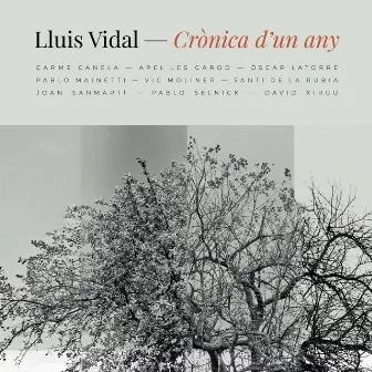 Crònica d'un any by Lluís Vidal