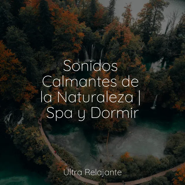 Sonidos Calmantes de la Naturaleza | Spa y Dormir