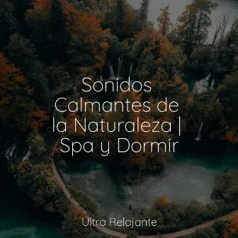 Sonidos Calmantes de la Naturaleza | Spa y Dormir by Meditar Profundamente