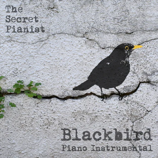 Blackbird (Piano Instrumental)