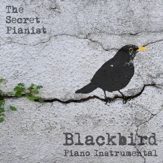 Blackbird (Piano Instrumental) by The Secret Pianist