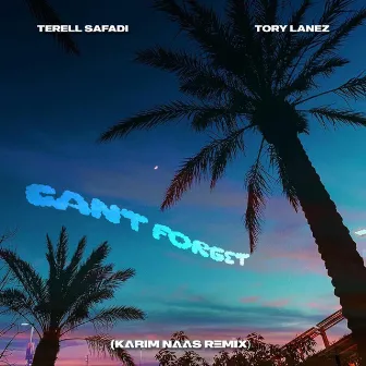 Can't Forget (Karim Naas Remix) by Terell Safadi